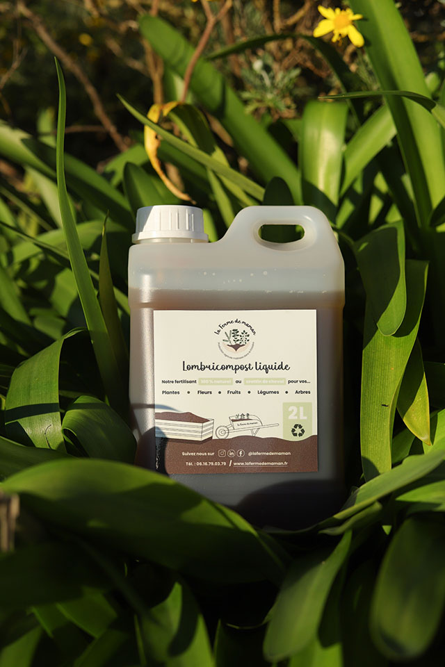 lombricompost liquide dans les herbes