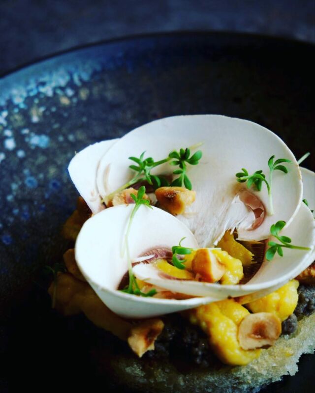 Aujourd’hui notre micro pousse de cresson est mise à l’honneur. Avec cette savoureuse tartine, champignons, jaune d’œuf confit & noisettes. Réalisée par le restaurant @peck.and.co 
.
.
.
#micropousse #microgreen #bio #healthy
#restaurant #restaurantbrest #épicerie
#local #green #fermeurbaine #cuisine
#recette #bretagne #finistère #brestmaville
#brestbretagne